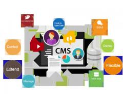 CMS Website Development Company